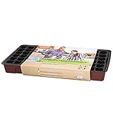 55 x 28 x 7 cm Siena Garden Invernadero de Interior, Burdeos y Transparente