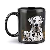 Perfekt für draußen und drinnen: die Haltbarkeit dieser hochwertigen dicken Keramik auf dieser Keramik-Kaffeetasse macht sie geeignet für Camping, Grillen, Picknicks oder sogar den Komfort Ihres Frühstückstischs.