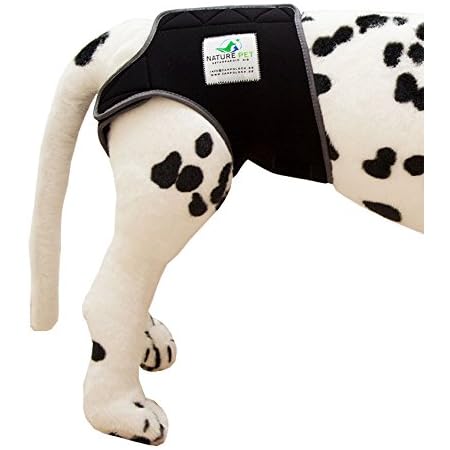 Amazon Com Nature Pet Dog In Season Heat Nappy Pants Incontinence Pants Protective Pants Dog Diaper Xs L Pet Supplies