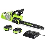 FASTPRO 40V 16-inch Cordless Chainsaw, Brushless Chain Saw Kit with 2 Batteries (4.0Ah) and Charger Base, For Wood Cutting & Trimming