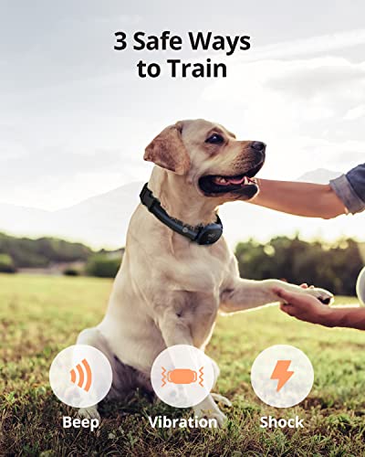 eufy Pet Dog Training Collar 2-Pack, 2 Rechargeable Training Collars with Remote, 3 Safe Training Modes, Soft Silicone… - Image 6