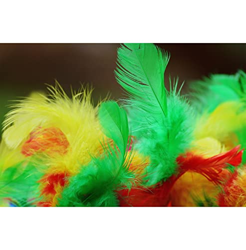 A No Text Picture Book, Colored Feathers: Compelling Photos of Colored Feathers Collection | Perfect Gift Idea For Fans Family Relatives Friends All Ages