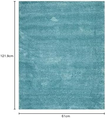 Modern Soft Shaggy Rugs Fluffy Home Decorative Carpet for Living Room 2-inch Thick Carpet Sky Blue,(5X7 FEET)