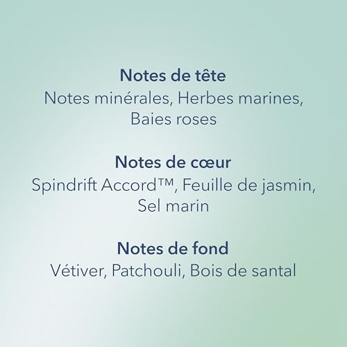 Bougie parfumée anti-odeurs Courant marin à 3 mèches Chesapeake Bay - 4