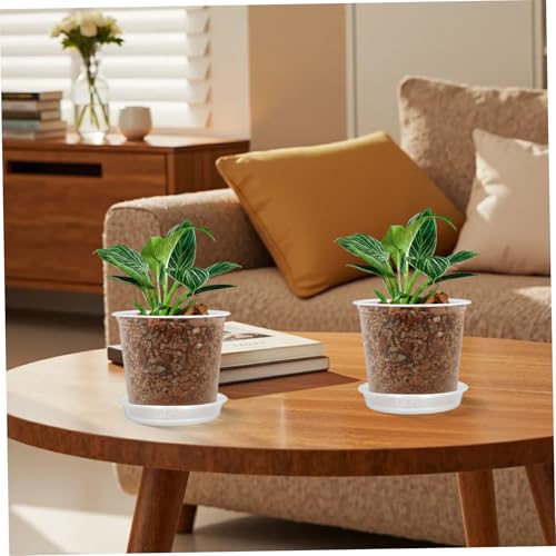 Pots de fleurs transparents 15cm : lot de 15 avec soucoupes pour le drainage