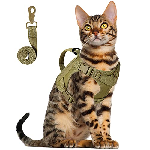 Hicaree Tactical Cat Harness and Leash Set for Walking, Adjustable ...