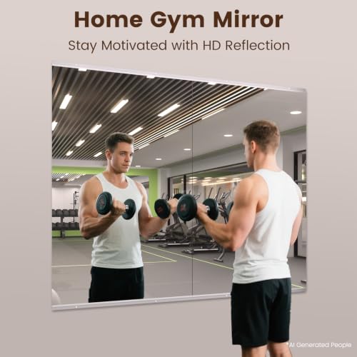 Image of LOAAO Home Gym Mirror 48 inchx24 inch, 2 PCS