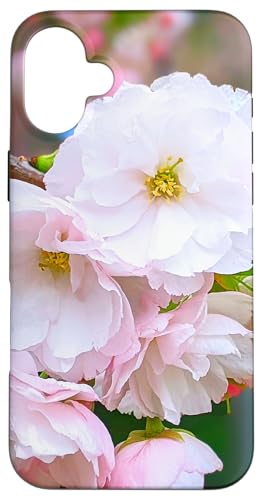 �\�t�g�s���N ���} �T�N���W���p�� 2�` �}�j�A �X�}�z�P�[�X iPhone 16 Plus �p