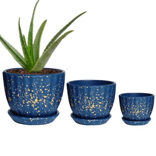 NASHRIO 3-Piece Small Ceramic Plant Pots with Drainage Holes - Indoor/Outdoor Decorative Flower Pots for Succulents, Mini Cacti, Herbs (Set of 3) (B)