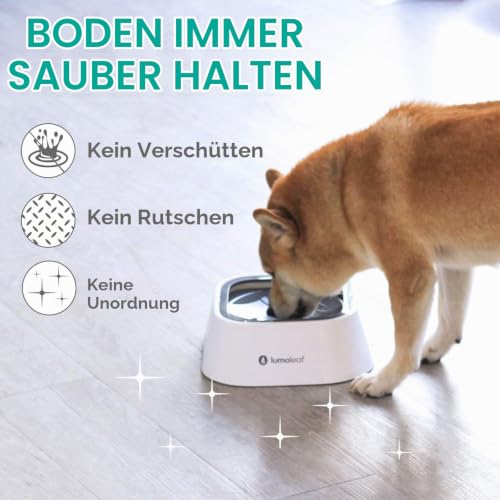 LumoLeaf Wassernapf für Hunde, kein Verschütten, langsamer Futterspender, hält Maul trocken, tropffreies Design (1L Grau)