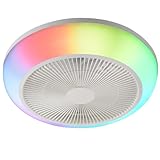 Ceiling Fan with Lights and Remote, RGB Ceiling Fan, Low Profile Ceiling Fan 45cm LED Enclosed Ceiling Fans The Wall can be Switched on and Off to Switch Fans and Lights for Bedroom Kids Room,White