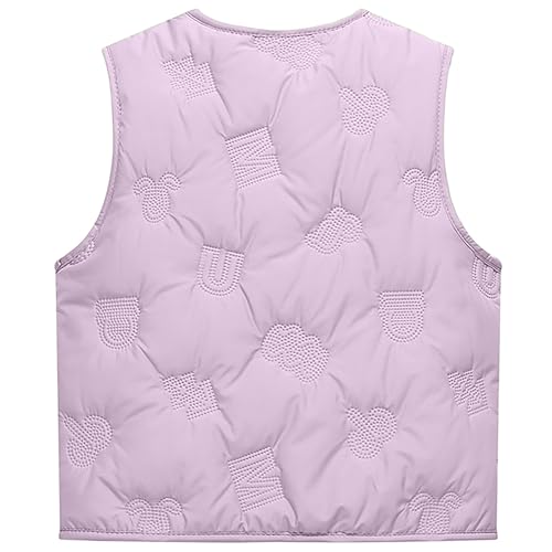 AIWUHE Toddler Girls Boys Fleece Vest Kids V-Neck Vest Jacket Lightweight Sleevless Fall Winter Warm Outerwear 1-5T2