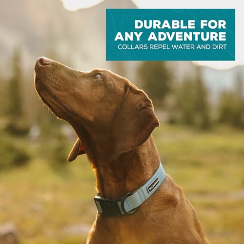 Image of Wilderdog Waterproof Dog Collar - Repels Water & Dirt - Medium 13 inch-18 inch - Saltwater