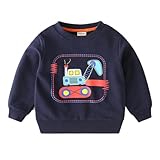 Hotfiary Toddler Boys Sweatshirt Cotton Crew Neck Long Sleeve with Ribbed Cuff & Hem Soft Casual Pullover Cute Cartoon Print