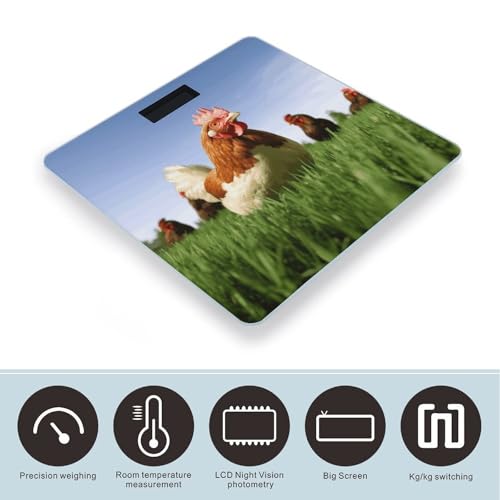 Báscula Digital de Baño con Pantalla LCD y Vidrio Templado miniatura 3