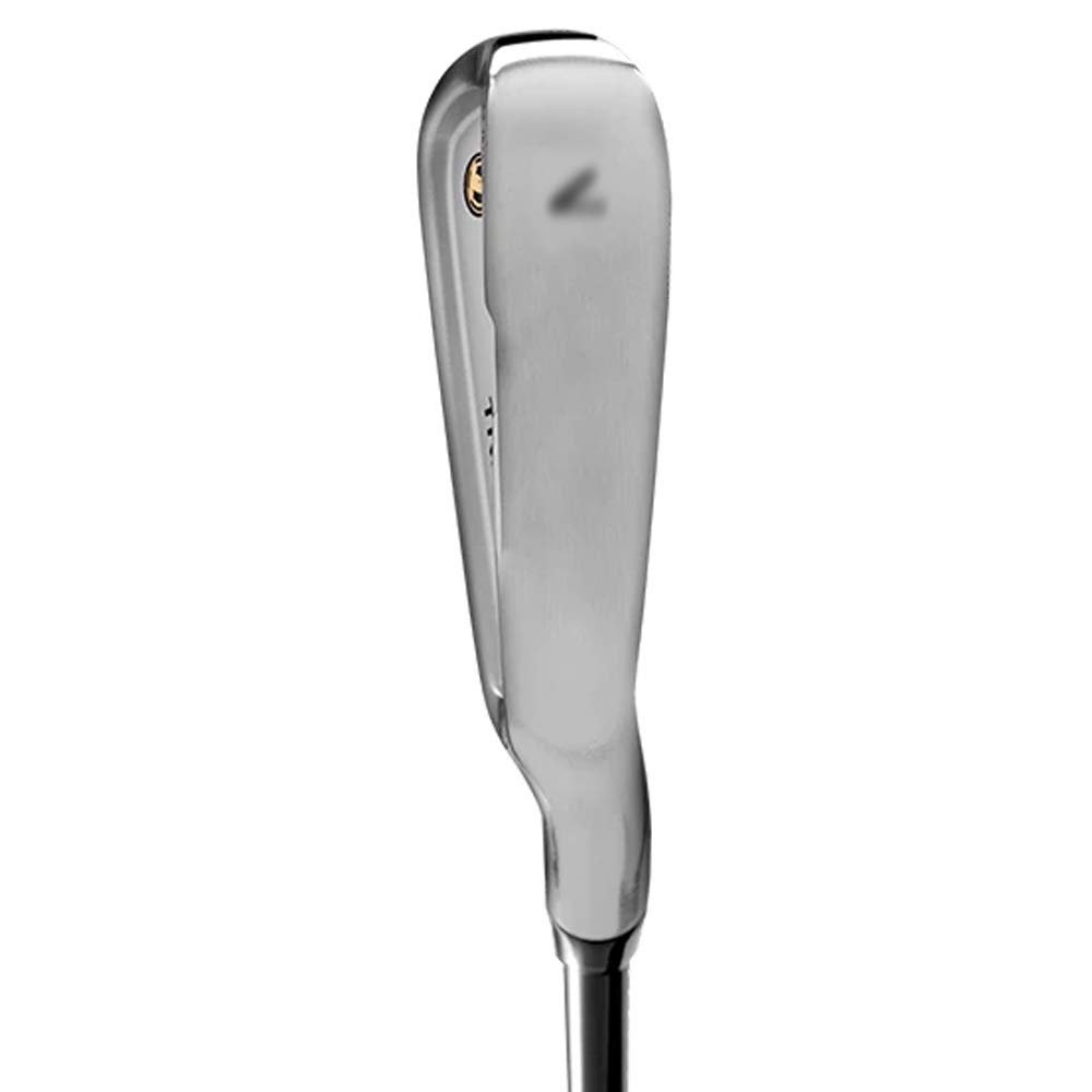 Amazon.co.jp: HONMA TR20V アイアンセット RH 4-10 スチール