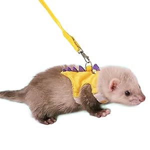 Anelekor Ferret Harness and Leash Set Small Animals Vest Harness with Safe Bell Dinosaur Shaped Walking Clothes for Baby Rabbit Guinea Pig Teacup Chihuahua Mouse and Other Small pet (Yellow)