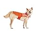 Youly Cozy Coat for Dogs, Small/Medium, Pink