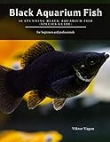  Black Aquarium Fish: 10 Stunning Black Aquarium Fish (Species Guide)
