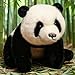 Imagen de Osos Panda De Peluche 30 Cm