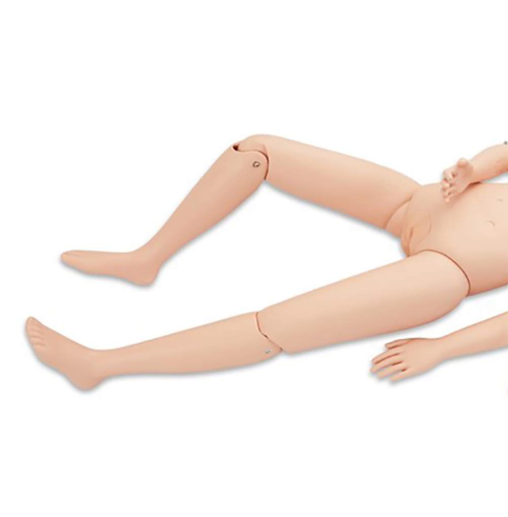Maniquí Modelo Humano Anatómico para Formación Médica de Enfermería, Mujer, Tamaño Natural