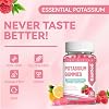 Potassium Gummies, Potassium Chloride 1000mg for Adults, Chewable Potassium Supplement for Women & Men, Support Leg Cramps & Muscle Health - Sugar Free, Vegan,60 Count