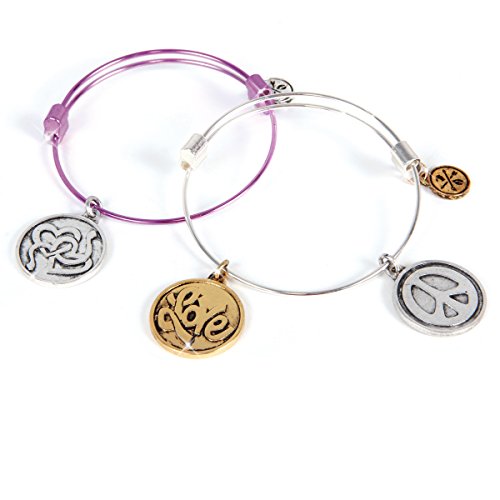 Charmazing Let's Get Started Bracelets - Heart Collection 2