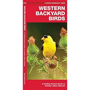 Western Backyard Birds A Folding Pocket Guide to Familiar Urban Species Nature Observation North America Pamphlet–March 31 2017