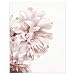 WQFairy Lámina artística Flores Arte de la Pared Peonía Carteles Floral Rosa...