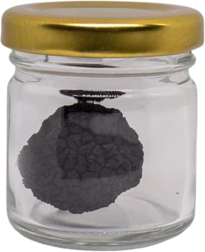 Spartacus Truffle Trufa negra entera en aceite de oliva, 10g