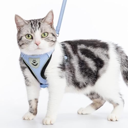 PUPTECK Conjunto de arnês e coleira para gatos - colete ajustável à prova de fuga para gatos pequeno