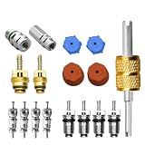 VOBOR Kit de núcleo de válvula de servicio climático de 17 piezas, R12 R134a CA, núcleo de válvula de extracción rápida, herramientas de instalación con válvulas de servicio de alta y baja presión
