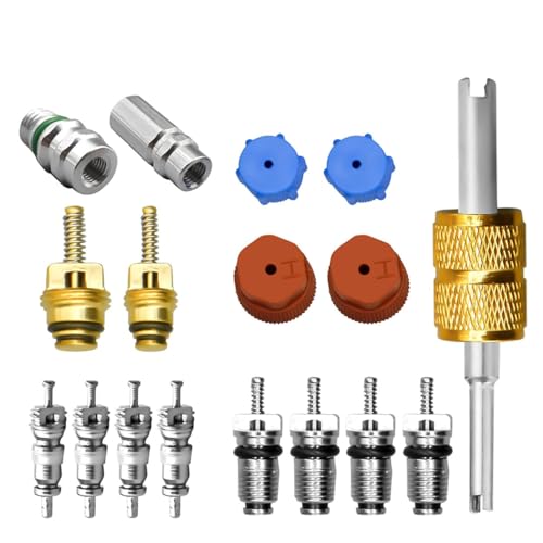 VOBOR Kit de núcleo de válvula de servicio climático de 17 piezas, R12 R134a CA, núcleo de válvula de extracción rápida, herramientas de instalación con válvulas de servicio de alta y baja presión