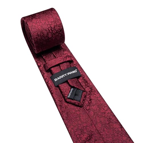 Image of Barry.Wang Floral Ties for Men Flower Necktie with Tie Clip Formal