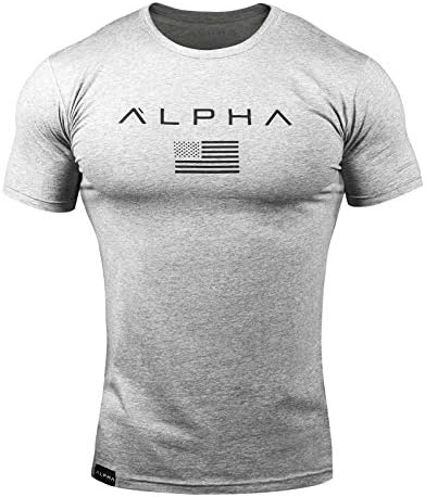 （10:00時点） [SHANLIANG] メンズ トレーニングウェア Tシャツ ストレッチ 半袖 スポーツシャツ 筋トレ フィットネス (L, ライトグレー)