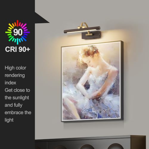 Image of Tassuowell LED Picture Lights for Wall Rechargeable, Battery Operated Art Light for Paintings (Wood Grain, 12inch)