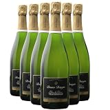Crémant de Bourgogne bianco de Blancs Chardonnay Brut - Bruno Dangin - DOP - Borgogna - Francia - Vitigni Chardonnay - 6x75cl