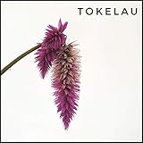 tokelau island  Tokelau