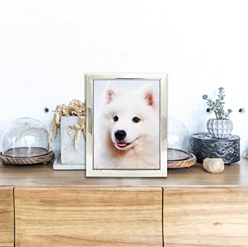 Decanit 8X10 Picture Frames Silver Metal Photo Frames For Tabletop Display And Wall Decoration-Best Gifts For Family #TOP4