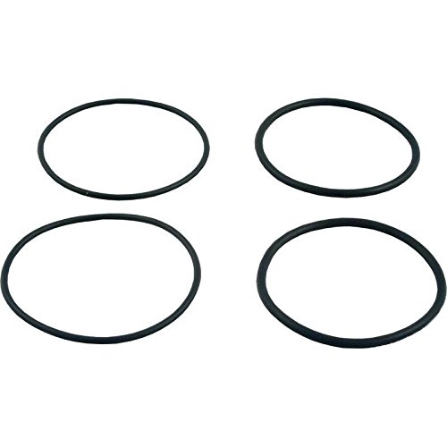 Raypak 006724F Kit O-Ring pour 2" Connecteur PVC Cover