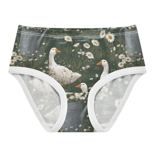 Wusikd Geese Girls' Underwear Cotton White Daisy Girls Briefs Soft Toddler Underwear 2T