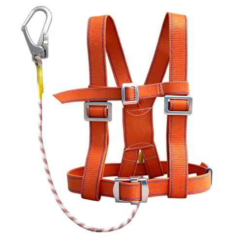 Ceinture de sécurité anti-chute pour homme - Charge maximale : 100 kg - Avec corde de 2 m et mousqueton en acier - Équipement de protection contre les chutes - Pour travaux en hauteur, couvreurs