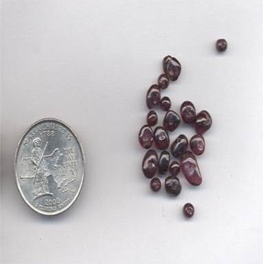 24 VINTAGE GENUINE GARNET 6mm. NUGGET JEWEL BEADS