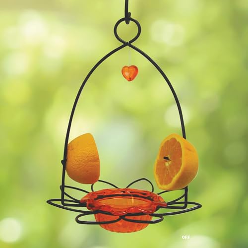 Birds Choice OFF Oriole Flower-Shaped Feeder W/Heart Ornament thumb #6