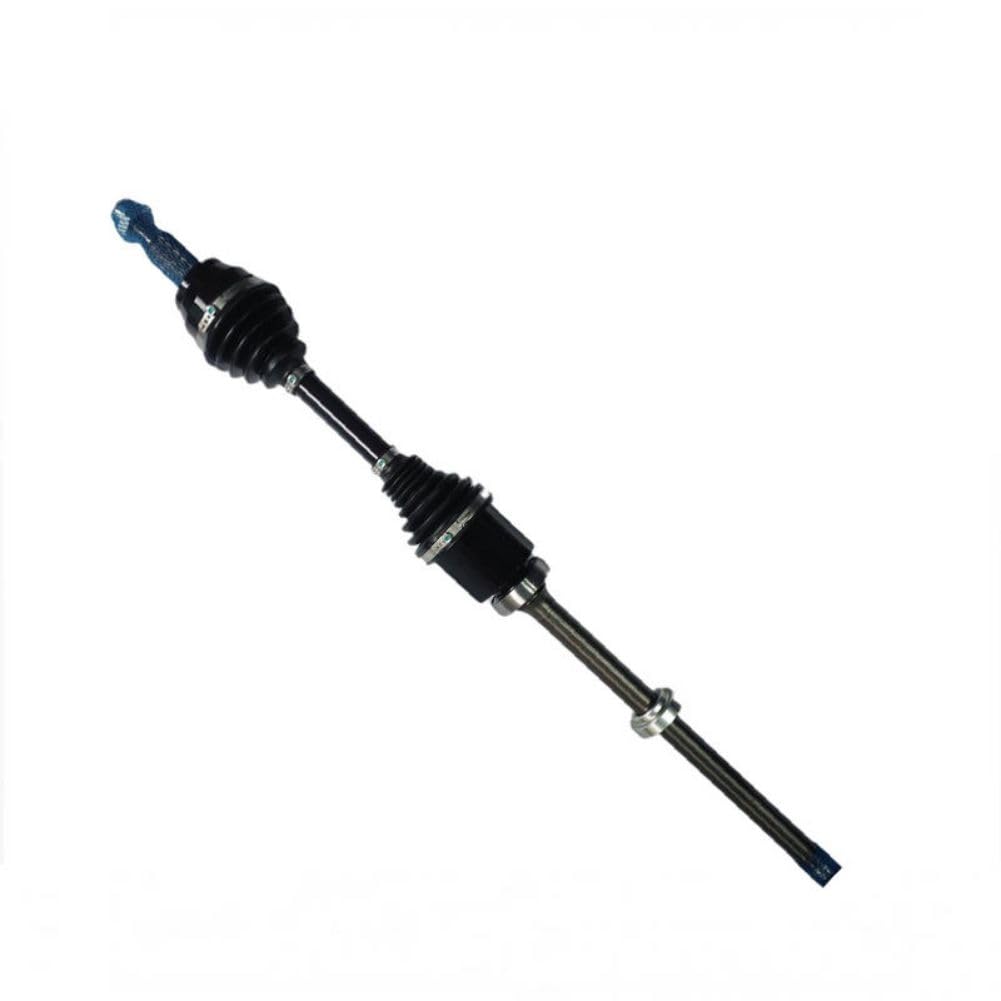 高級 掛け軸◇秋草双鶉／小木曽祥雲 作◇真作 絹本 希少 軸装 茶道具