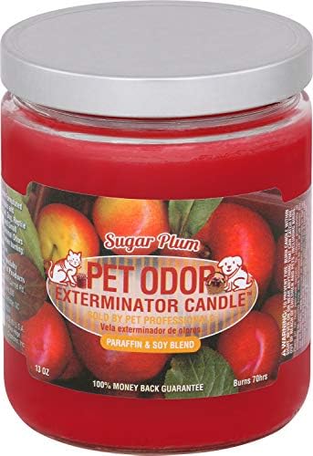 Sugar Plum Pet Odor Exterminator 13 Ounce Jar Candle