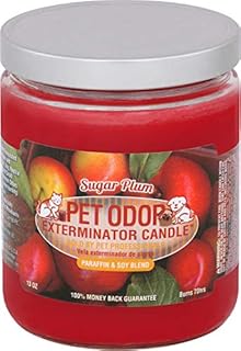 pet deodorizer candle