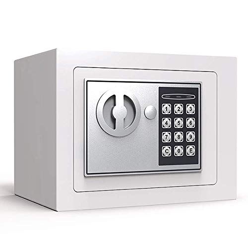 Coffre-fort en acier électronique CLSDRZC argenté de 23cm idéal pour protéger vos bijoux à la maison