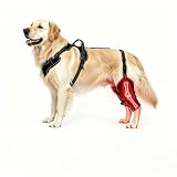 Ojdn hvy Rigid Splint Brace