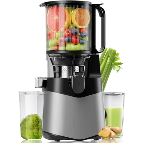 EanOruus Cold Press Juicer, 5.8' Wide Feed Chute Juice Extractor Machine with 400W, High Juice Yield, Slow Masticating Juicer for Whole Vegetables & Fruits, Dark Grey
